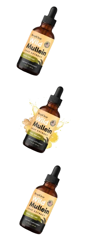 Wild Mullein supplement